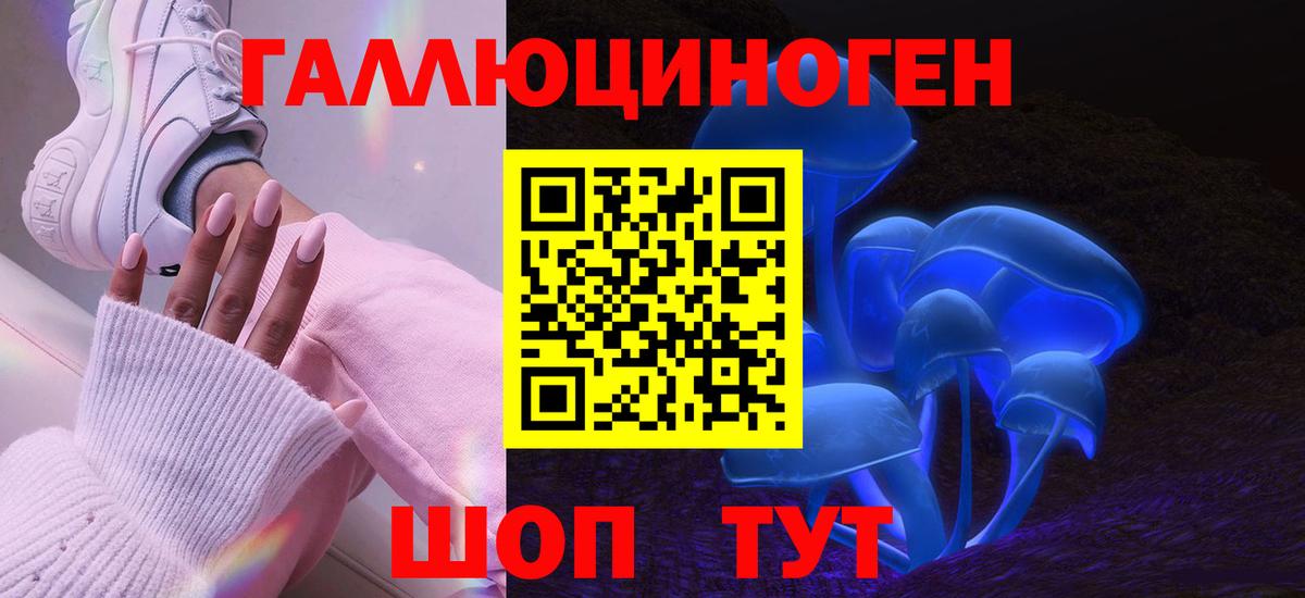 Псилоцибиновые грибы мицелий  Галлюциногенные грибы мицелий  хочу   Владивосток  Вход с VPN 
