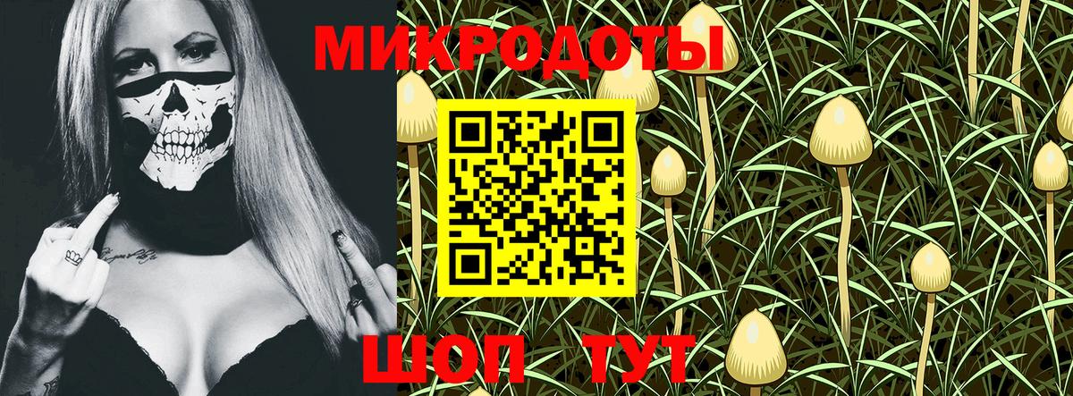 Псилоцибиновые грибы GOLDEN TEACHER Владивосток